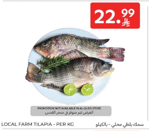 available at كارفور in مملكة العربية السعودية, السعودية, سعودية - المدينة المنورة