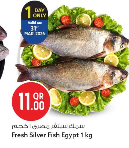 available at سفاري هايبر ماركت in قطر - الخور