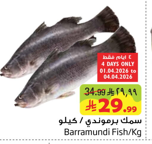 available at ليان هايبر in مملكة العربية السعودية, السعودية, سعودية - الخبر‎