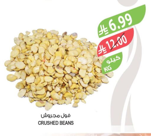 available at Farm  in KSA, Saudi Arabia, Saudi - Arar