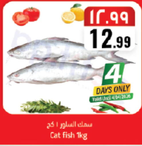 available at ستي فلاور in مملكة العربية السعودية, السعودية, سعودية - سكاكا