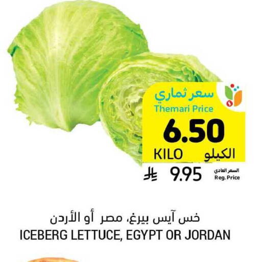 Lettuce from Egypt Jordan available at Tamimi Market in KSA, Saudi Arabia, Saudi - Al Hasa
