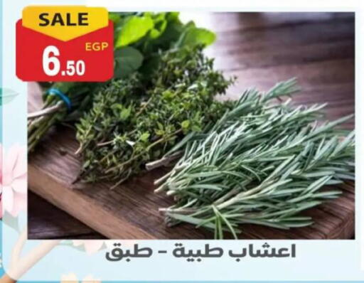 available at أولاد المحاوى in Egypt - القاهرة
