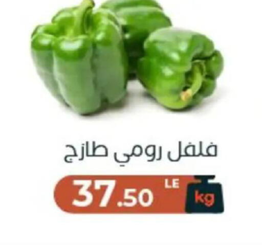 available at عرفة ماركت in Egypt - القاهرة