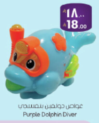 available at ستي فلاور in مملكة العربية السعودية, السعودية, سعودية - حائل‎