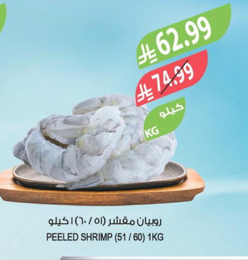 available at المزرعة in مملكة العربية السعودية, السعودية, سعودية - جدة