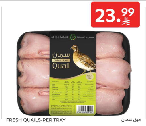 available at كارفور in مملكة العربية السعودية, السعودية, سعودية - جدة