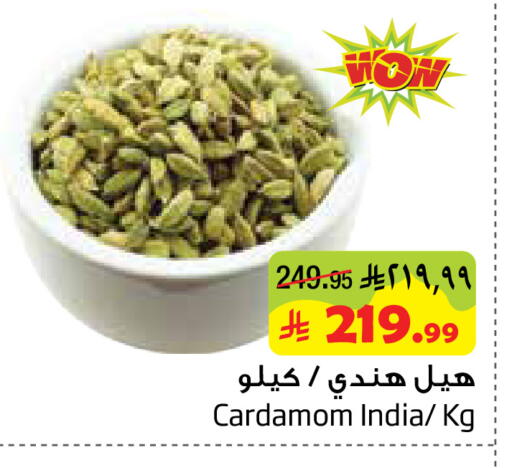 Cardamom available at Layan Hyper in KSA, Saudi Arabia, Saudi - Al Khobar