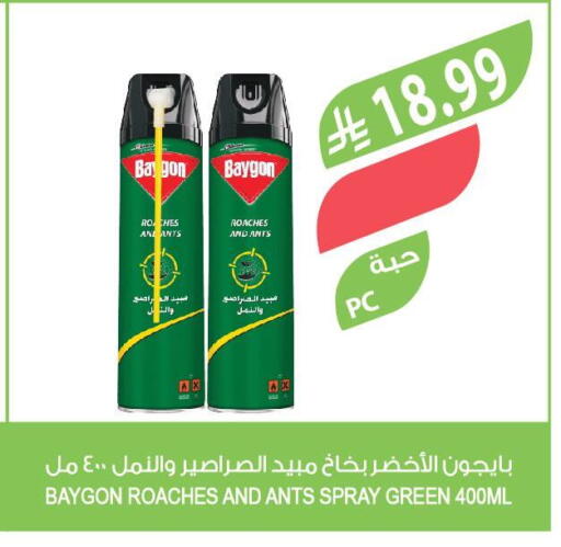 available at المزرعة in مملكة العربية السعودية, السعودية, سعودية - الباحة