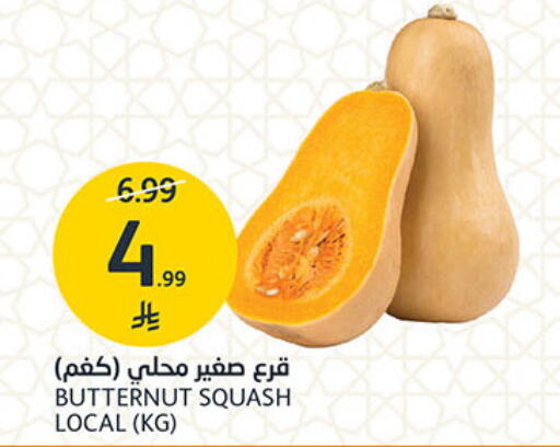 Squash available at مركز الجزيرة للتسوق in مملكة العربية السعودية, السعودية, سعودية - الرياض