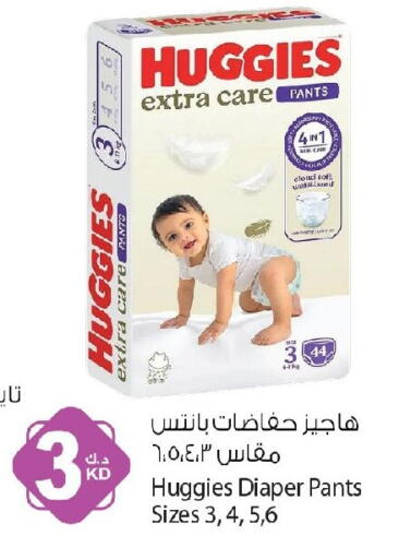 available at Agricultural Food Products Co. in Kuwait - Jahra Governorate