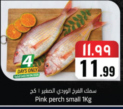 available at City Flower in KSA, Saudi Arabia, Saudi - Najran