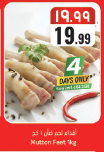 available at ستي فلاور in مملكة العربية السعودية, السعودية, سعودية - حائل‎