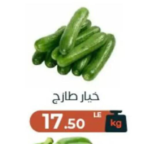 available at عرفة ماركت in Egypt - القاهرة