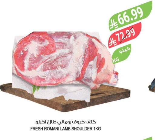 available at المزرعة in مملكة العربية السعودية, السعودية, سعودية - الرياض