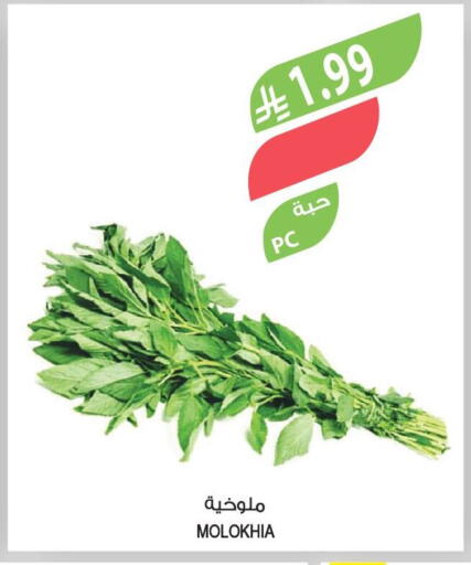 available at المزرعة in مملكة العربية السعودية, السعودية, سعودية - ينبع