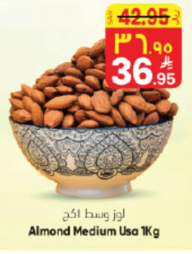 available at ستي فلاور in مملكة العربية السعودية, السعودية, سعودية - الجبيل‎