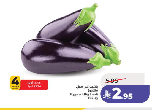 Eggplant from Saudi Arabia available at لولو هايبرماركت in مملكة العربية السعودية, السعودية, سعودية - الأحساء‎