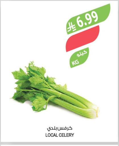 Celery available at Farm  in KSA, Saudi Arabia, Saudi - Arar
