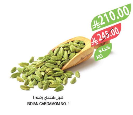 Cardamom available at المزرعة in مملكة العربية السعودية, السعودية, سعودية - الرياض