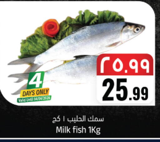 available at City Flower in KSA, Saudi Arabia, Saudi - Najran