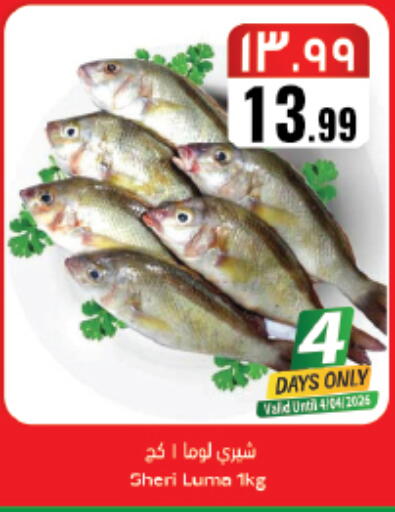 available at City Flower in KSA, Saudi Arabia, Saudi - Riyadh