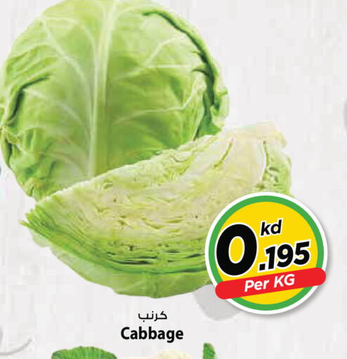 Cabbage available at مارك & سايف in الكويت - مدينة الكويت
