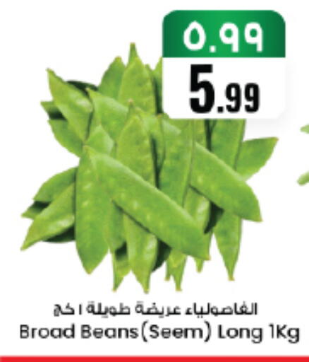 available at ستي فلاور in مملكة العربية السعودية, السعودية, سعودية - الجبيل‎