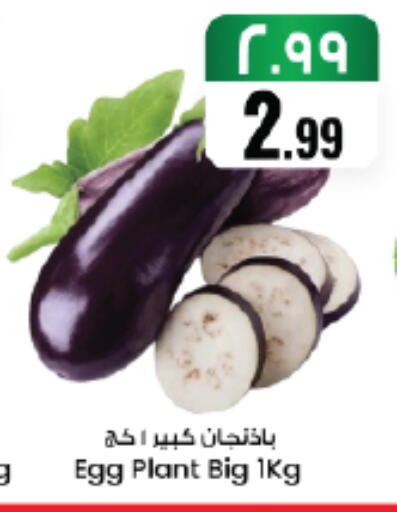 available at City Flower in KSA, Saudi Arabia, Saudi - Jubail
