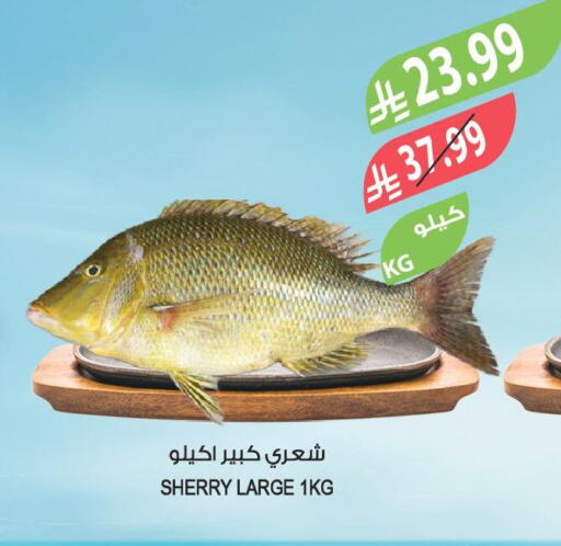 available at المزرعة in مملكة العربية السعودية, السعودية, سعودية - الرياض