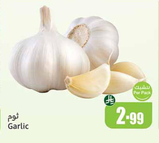 Garlic available at Othaim Markets in KSA, Saudi Arabia, Saudi - Az Zulfi