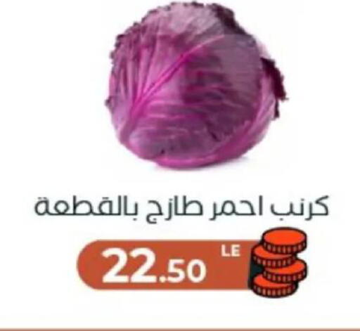 available at عرفة ماركت in Egypt - القاهرة