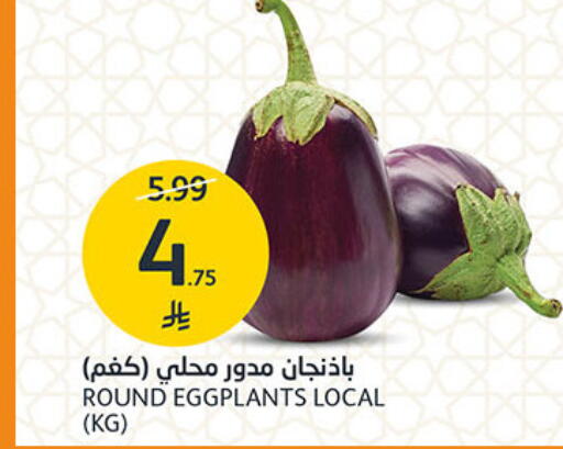 available at مركز الجزيرة للتسوق in مملكة العربية السعودية, السعودية, سعودية - الرياض