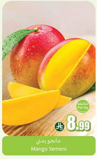 Mango from Yemen available at Othaim Markets in KSA, Saudi Arabia, Saudi - Khafji