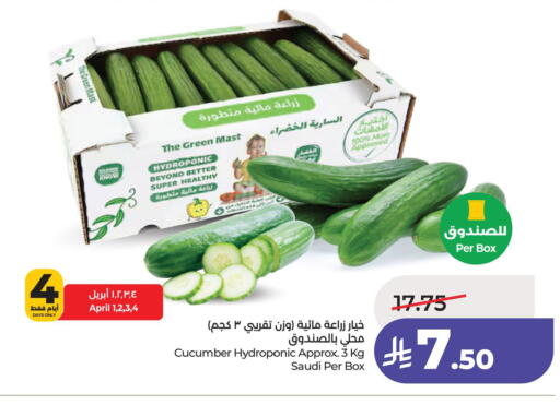 Cucumber from Saudi Arabia available at لولو هايبرماركت in مملكة العربية السعودية, السعودية, سعودية - الأحساء‎
