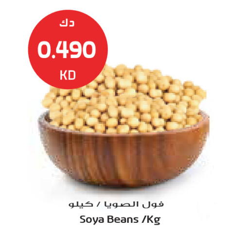 available at Grand Costo in Kuwait - Ahmadi Governorate