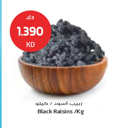 available at جراند كوستو in الكويت - محافظة الأحمدي