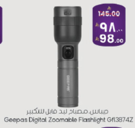 available at City Flower in KSA, Saudi Arabia, Saudi - Hail