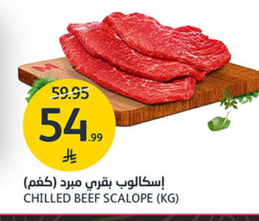 available at مركز الجزيرة للتسوق in مملكة العربية السعودية, السعودية, سعودية - الرياض