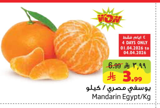 Mandarin from Egypt available at ليان هايبر in مملكة العربية السعودية, السعودية, سعودية - الخبر‎