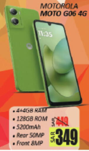 available at City Flower in KSA, Saudi Arabia, Saudi - Hail