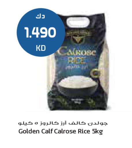 available at جراند كوستو in الكويت - مدينة الكويت