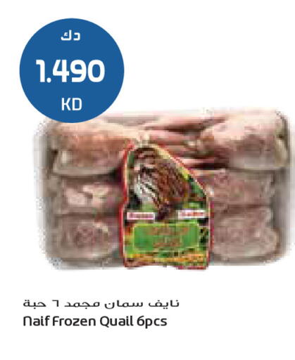 available at جراند كوستو in الكويت - محافظة الأحمدي