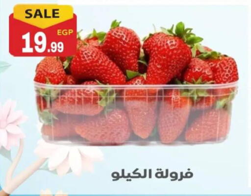 available at أولاد المحاوى in Egypt - القاهرة