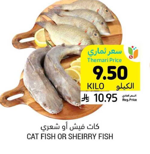 available at أسواق التميمي in مملكة العربية السعودية, السعودية, سعودية - الرياض