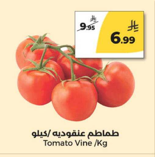 Tomato available at  دانة طازج يوميا in مملكة العربية السعودية, السعودية, سعودية - الرياض