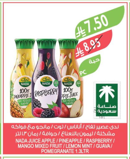Raspberry Apple Pineapple Mango Lemon Guava Pomegranate Mint available at Farm  in KSA, Saudi Arabia, Saudi - Jubail