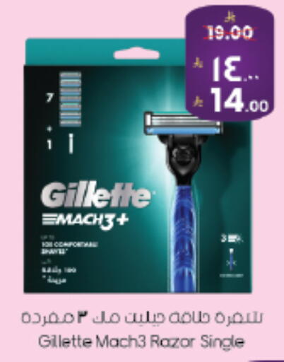 available at ستي فلاور in مملكة العربية السعودية, السعودية, سعودية - سكاكا