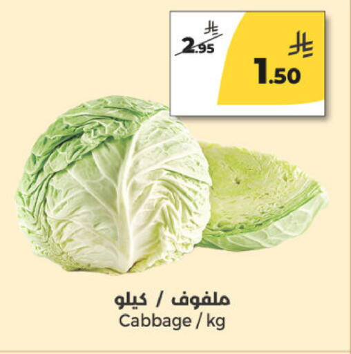 Cabbage available at  دانة طازج يوميا in مملكة العربية السعودية, السعودية, سعودية - الرياض