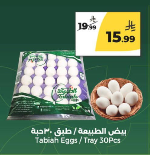 available at  دانة طازج يوميا in مملكة العربية السعودية, السعودية, سعودية - الرياض